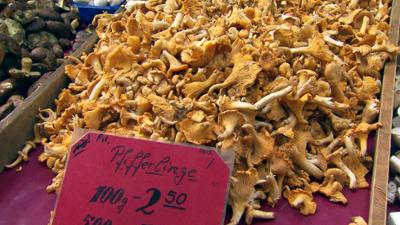 Wie geht das?: Pilze – Genuss und Gefahr