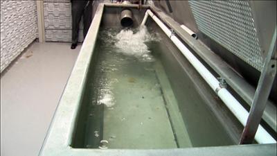 Akte Mord - Ermittler auf Beweisjagd: Staffel 6, Folge 1: Brutales Ende eines Traums