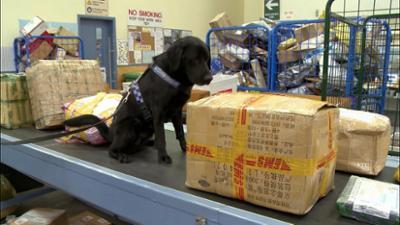 Border Patrol Neuseeland: Staffel 6, Folge 5: Der Kreditkartensammler