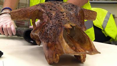 Border Patrol Neuseeland: Staffel 8, Folge 4: Ein Hauch Hollywood