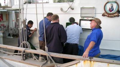 Border Patrol Neuseeland: Staffel 7, Folge 5: Rüsselkäfer-Popcorn