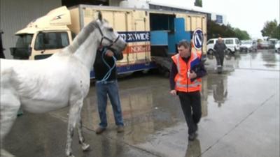 Border Patrol Neuseeland: Staffel 5, Folge 10: Die barfüßige Elfe