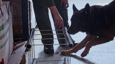 Border Patrol Südamerika: Staffel 1, Folge 1: Im Gepäck eines Rentners finden sich Ecstasypilen