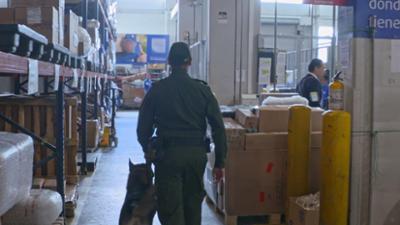 Border Patrol Südamerika: Staffel 1, Folge 5: In Kolumbien findet die Hundeagentin Sombra Kokain