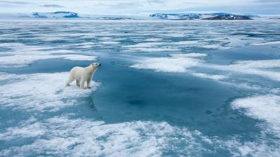 Große Katastrophen: Staffel 3, Folge 10: Globale Bedrohungen