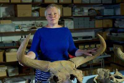 Hitlers Urzeit-Park - Das Gen-Experiment der Nazis