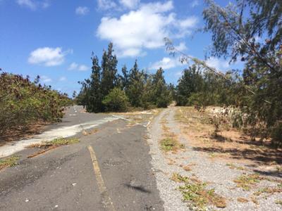 Lost Places: Staffel 1, Folge 10: Die Ziegeninsel