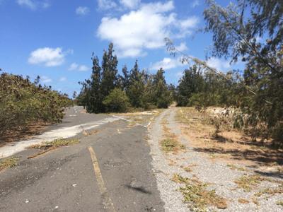 Lost Places: Staffel 1, Folge 10: Die Ziegeninsel