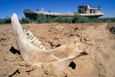 Lost Places: Staffel 1, Folge 3: Die Insel der Wiedergeburt