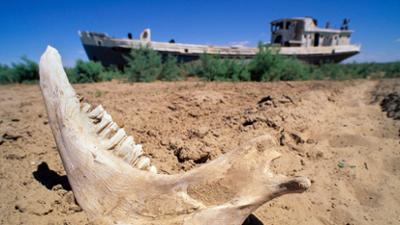 Lost Places: Folge 3: Die Insel der Wiedergeburt