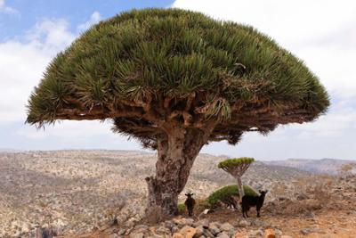 Lost Places: Staffel 1, Folge 1: Die Geisterinsel