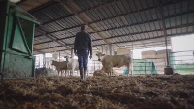 Lügen, die Geschichte schrieben: Staffel 5, Folge 15: Angst vor dem Rinderwahn