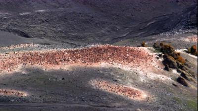 Mysteriöse Phänomene - Rätsel von oben: Folge 3