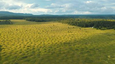 Mysteriöse Phänomene - Rätsel von oben: Folge 7