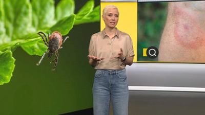 ntv Service: Folge 90: Thema u.a.: Gefahr durch Zecken