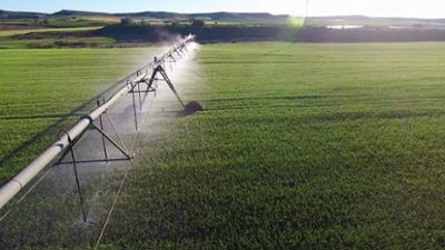 Rätselhafte Phänomene: Folge 18