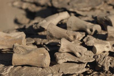 Rätselhafte Phänomene: Folge 520