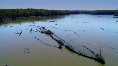 Rätselhafte Phänomene: Staffel 5, Folge 5: Satelliten entdecken eine Flotte versunkener Schiffe