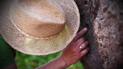 Vulkane in der Eifel - Schlummernde Gefahr