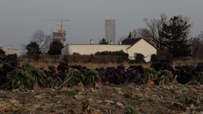 AKKU: Donaufeld bodenlos