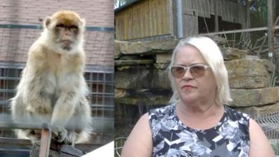 Der kleine Stadtstreicher: Tier- und Wildpark Preding