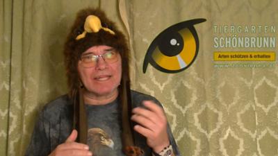 Der kleine Stadtstreicher: Eine tierische Folge