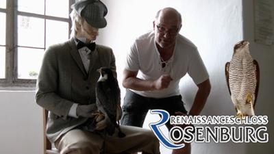 Der kleine Stadtstreicher: Falknerei Rosenburg