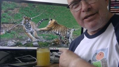 Der kleine Stadtstreicher: Der Zoo in Schönbrunn im Sommer