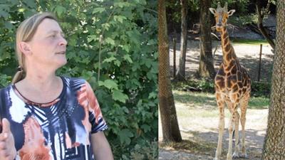 Der kleine Stadtstreicher: Der Zoo Schmiding