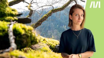MOMENT.at: Urwald in Österreich? Welche Wälder gibt es hier wirklich?