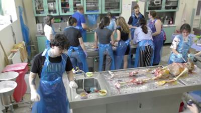 Parallelwelten: THE AUTOPSY ROOM AS AN ART SPACE / THE SCULTOR BARTOSZ BANASIK