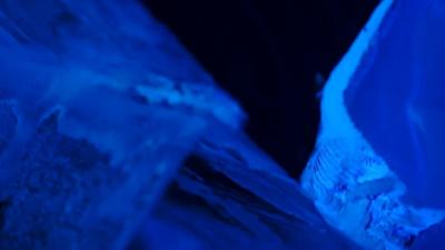 Poplastikka: Valeska Rautenberg - I am weak and so are you