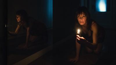 Animals - Stadt Land Tier