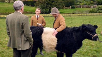 Der Doktor und das liebe Vieh: Folge 2: Die Kuh des Colonels