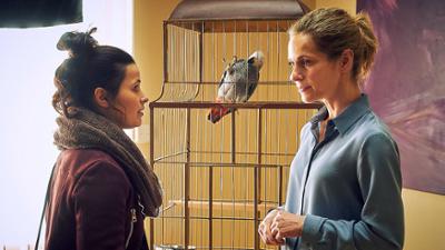 Die Heiland - Wir sind Anwalt: Folge 1: In dubio pro reo