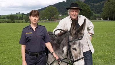 Mein Vater, der Esel und ich