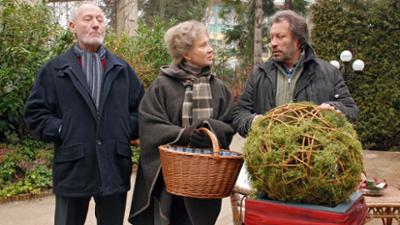 Sturm der Liebe: Episode 551