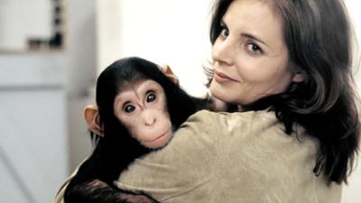 Tierärztin Dr. Mertens: Folge 1: Adoptivmutter gesucht (S01/E01)