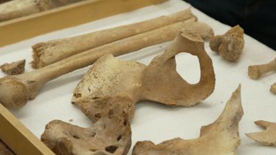 Das Wunder DU: Staffel 2