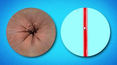 Das Wunder DU: Staffel 2