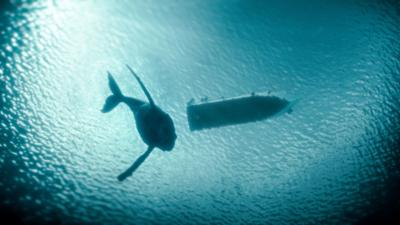 Der Schwarm (1/8): Angriff aus der Tiefe