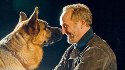 Fernsehgeschichte(n) Kommissar Rex