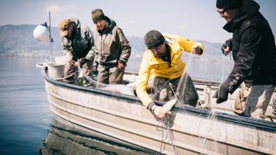 Fisch ahoi! (3/6): Alpensushi und Saiblingsdose: Slow-Food-Miniserie