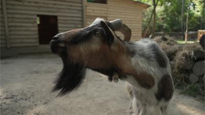 Hallo okidoki Teil 4