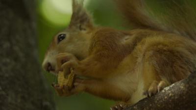 Hallo okidoki Teil 4