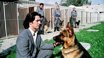 Kommissar Rex (1/14): Endstation Wien: Staffel 1