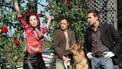 Kommissar Rex: Staffel 8