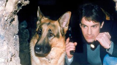 Kommissar Rex: Staffel 6
