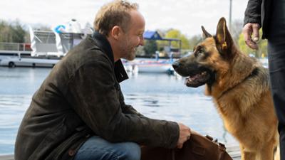 Kommissar Rex (3/6): Galgenmännchen: Wenn Wissen tödlich wird