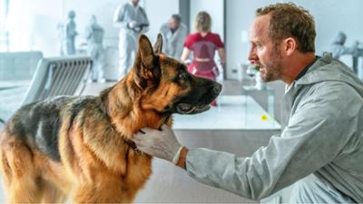 Kommissar Rex (6/6): Der Rosenkavalier: Die Vergangenheit schlägt zurück